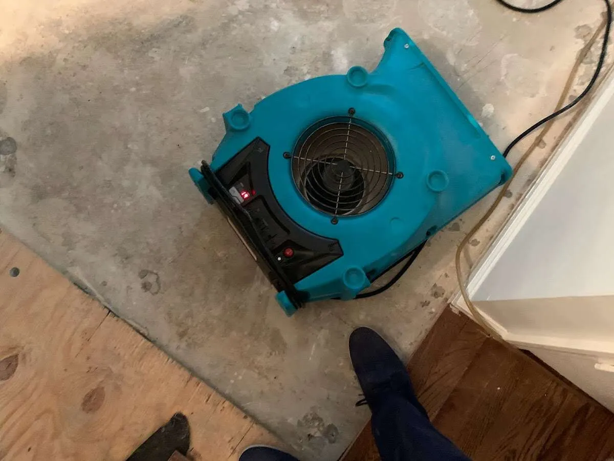 Air mover drying subfloor during Commercial Water Damage Restoration in Lakeville